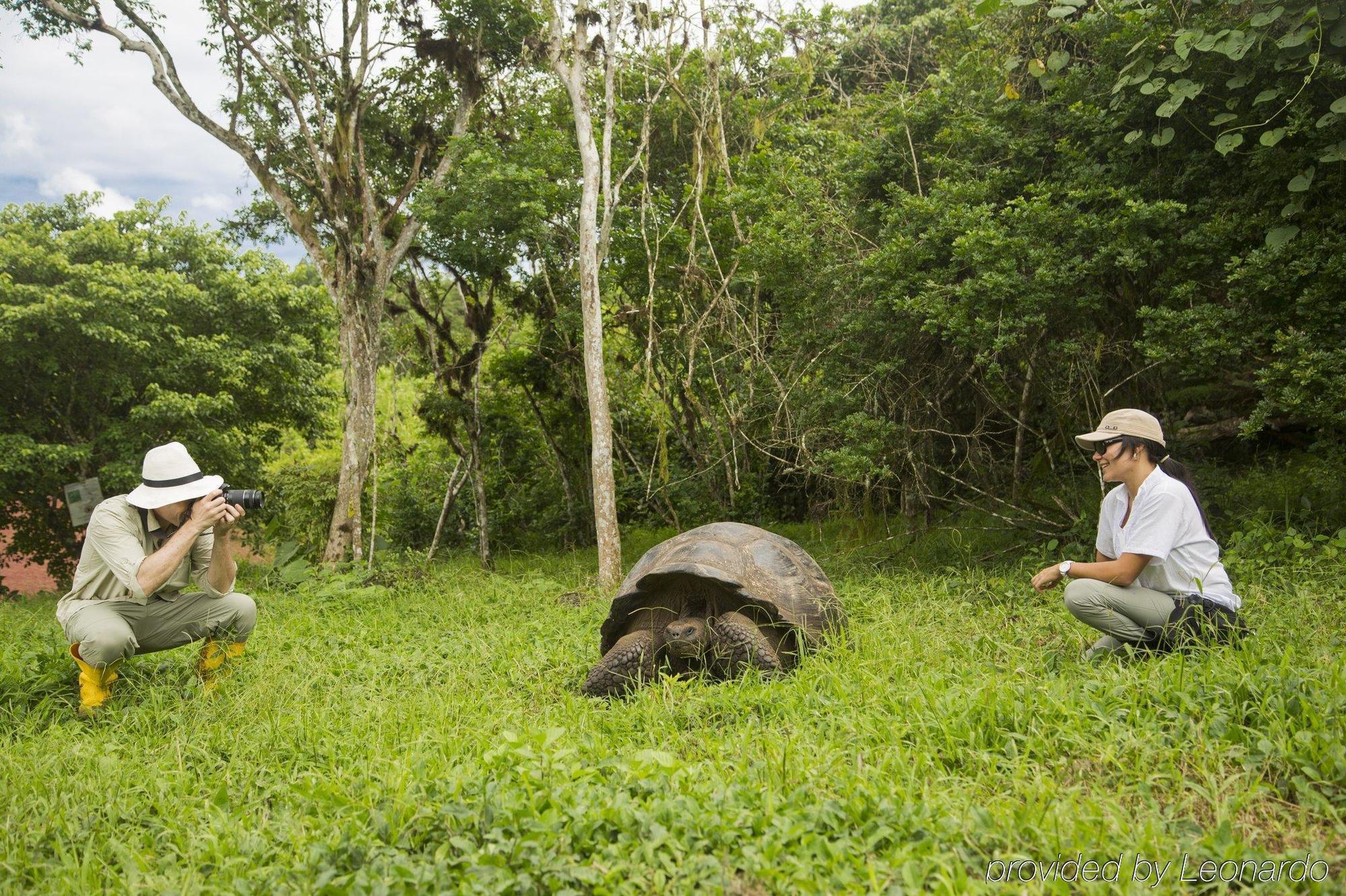 Finch Bay Galapagos Hotel Puerto Ayora (Galapagos Islands)