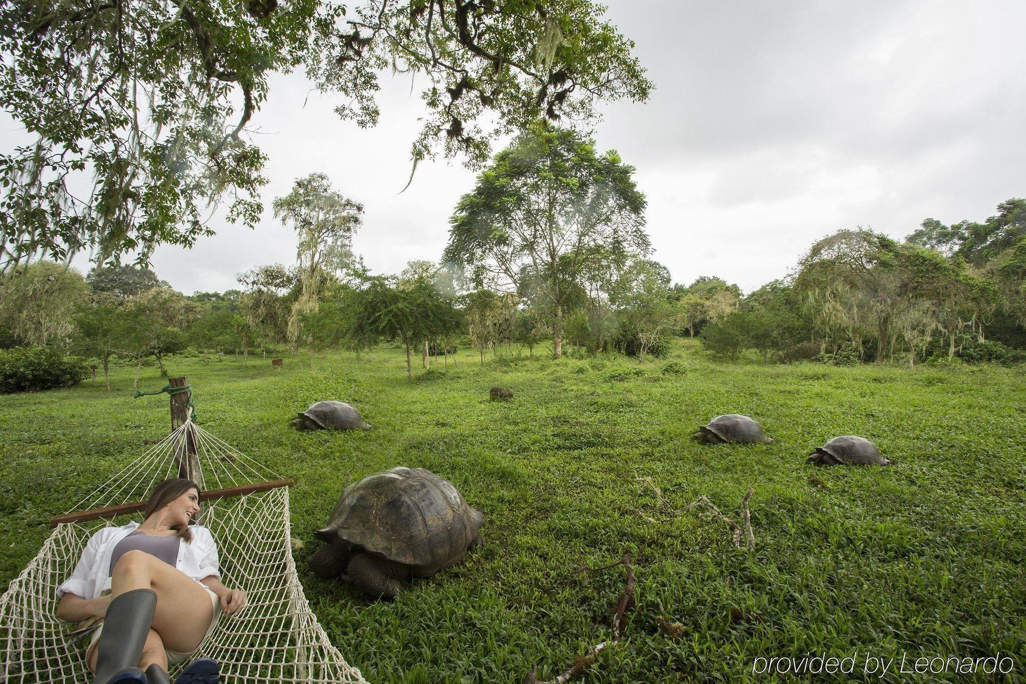 Finch Bay Galapagos 5*