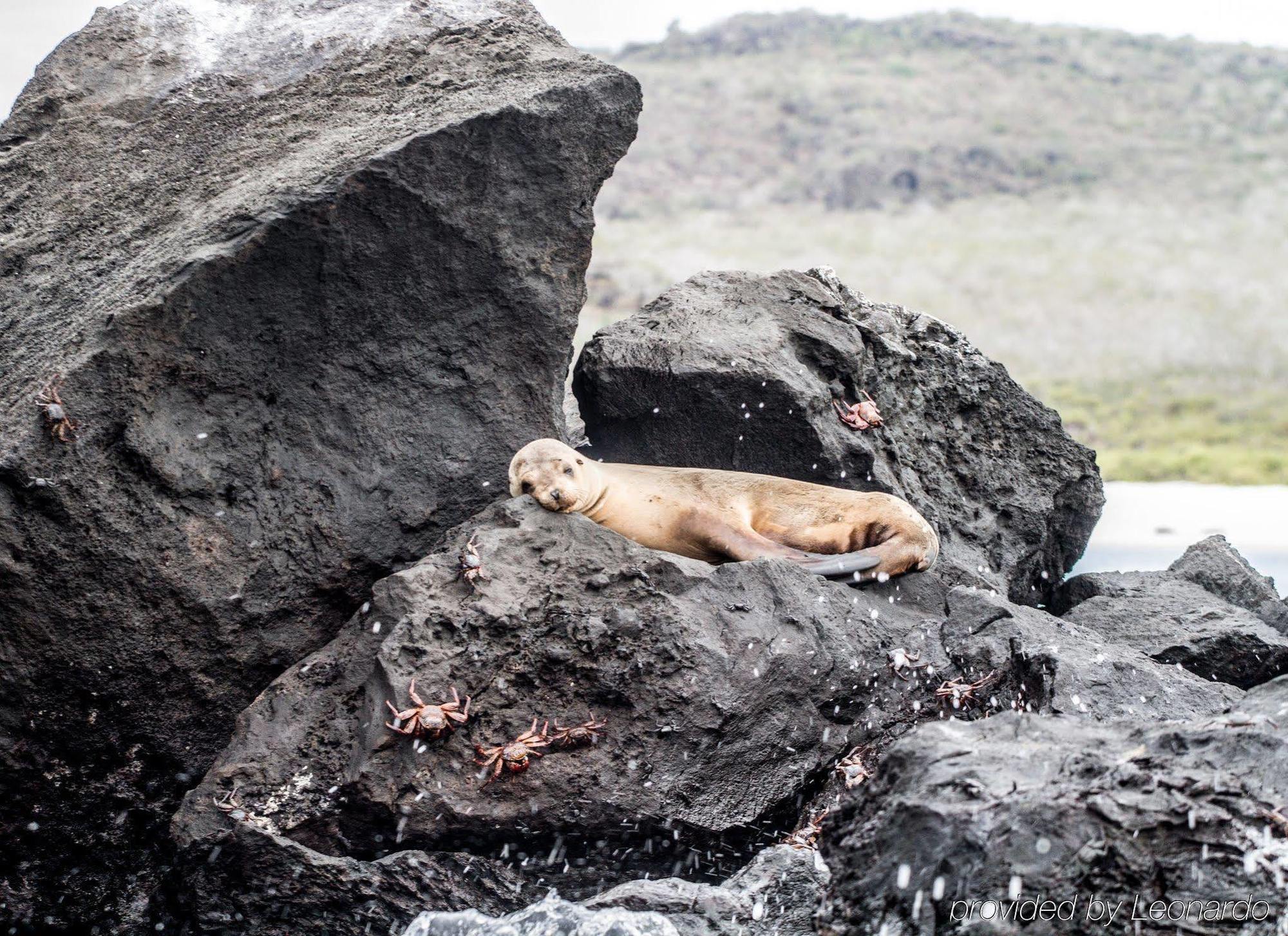Finch Bay Galapagos Puerto Ayora (Galapagos Islands)
